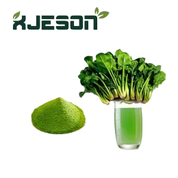 Spray Dried Spinach Extract
