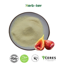 Organic Freeze Dried Fig Fruit Powder