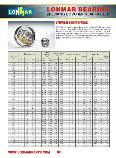 01 SPHERICAL ROLLER BEARING 21304 22205 21305 22206 21306