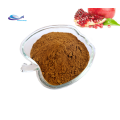 Best function cnidium monnieri extract powder fructus cnidii