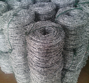 SGS electro galvanized barbed wire for sales