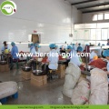 Approvisionnement d&#39;usine Fruits en vrac Dry Goji Berry