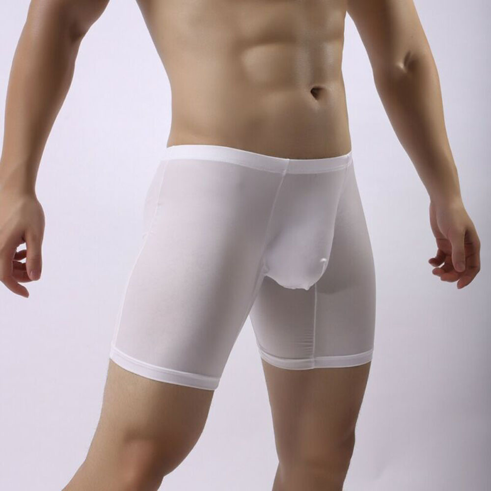 Men's Sexy Underwear Transparent Mesh Boxer Briefs Slim Underpants Men's Underwear Elastic Mesh See-through Boxer Briefs