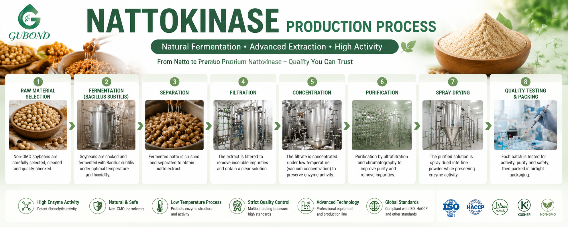Nattokinase