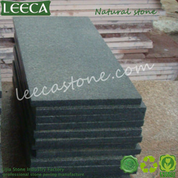 Pietra di granito a stepping grigio da giardino