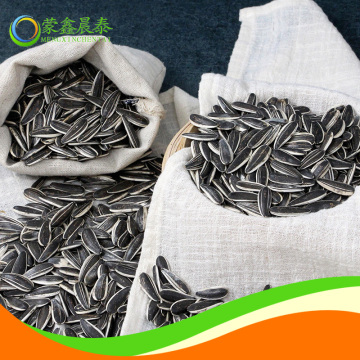 chacha sunflower seeds 601