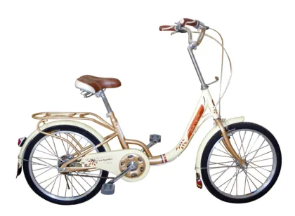 Lady Bike Leisure Bicycles