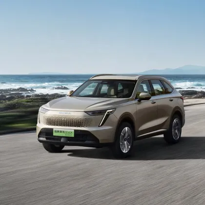 Haval Owl Dragon MAX Hybrid Electric SUV Pure Electric Vehicle 5 Door 5 Seater New Energy Vehicle