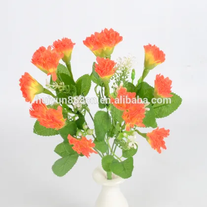 Wholesale high quality fresh cut flowers Carnation flowers for wedding