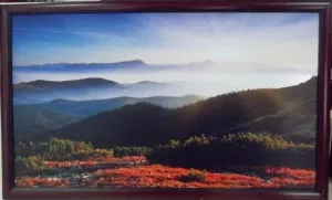 Carbon Crystal Heating Panel for Home Appliance