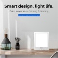 Suron LED Sunlight Lamp Light