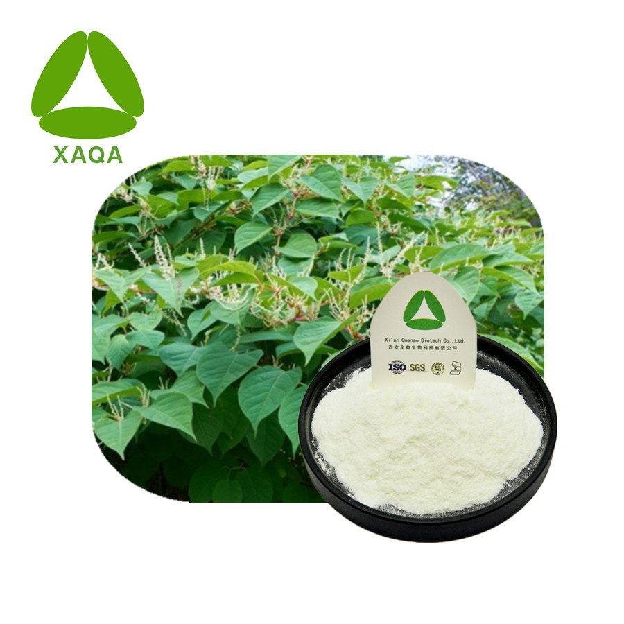 Polydatin Powder CAS 27208-80-6 Giant Knotweed Extract