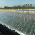 Antiaging Agricultural PE Plastic Greenhouse Cover Film