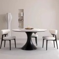 Solid Wood Dining Chairs for Home Furniture Table