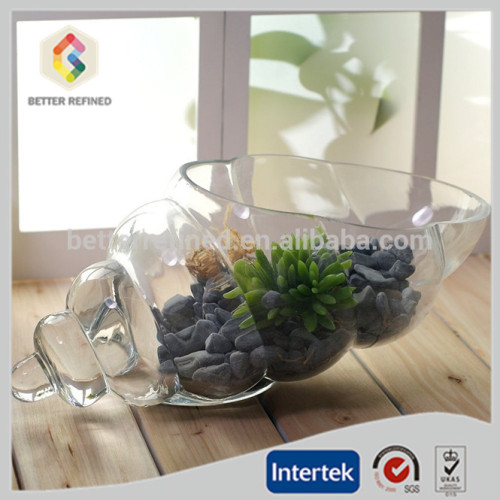 Vase coquille en verre transparent