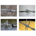 Barbed Wire Electro Galvanized Barbed Wire Supplier