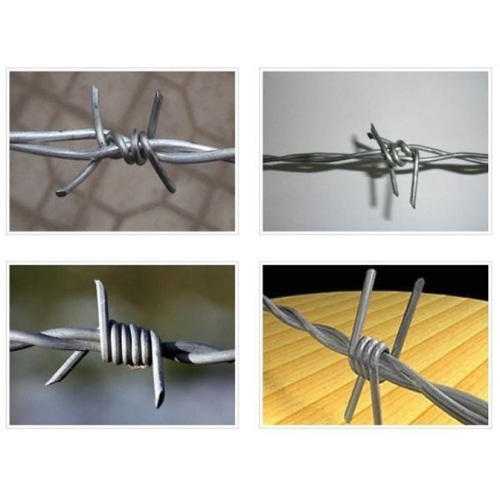 Barbed Wire Electro Galvanized Barbed Wire Supplier