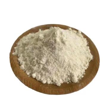 Garlic Allicin Powder Garlic Extract 100% Pure Allicin Powder Manufactory
