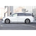Voyah Dream EV 2024新