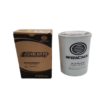 High Quality Fuel Pump Filter 1000442956A for WEICHAI WD615 - Factory Outlet