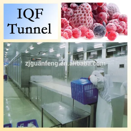 Vegetable And Fruit Quick Freezing Liquid Nitrogen Tunnel Freezer