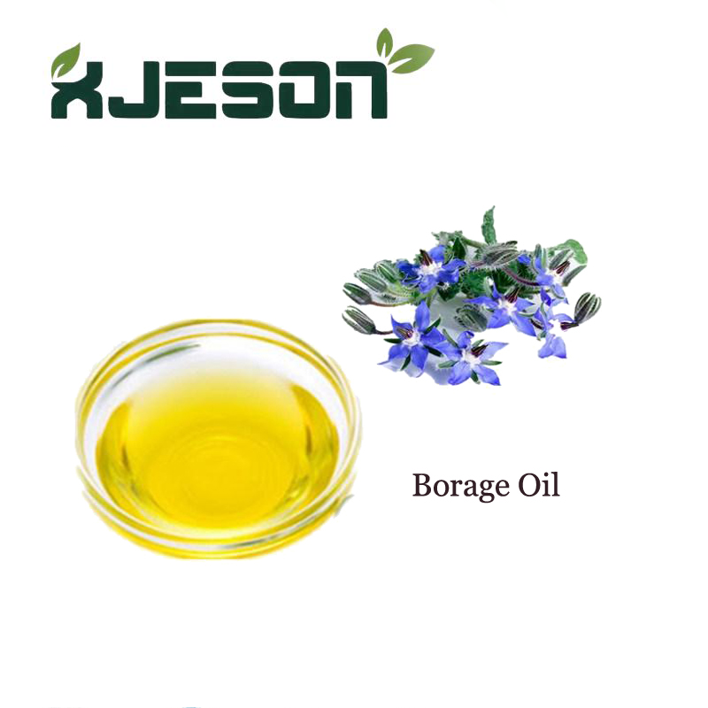 High Quality Borage Oil