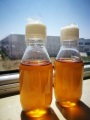 vendita all&#39;ingrosso di miele grezzo naturale e puro