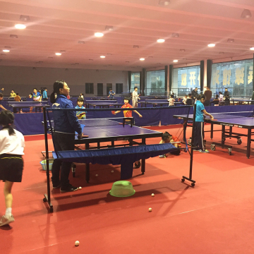 PVC Table tennis floor for Table Tennis