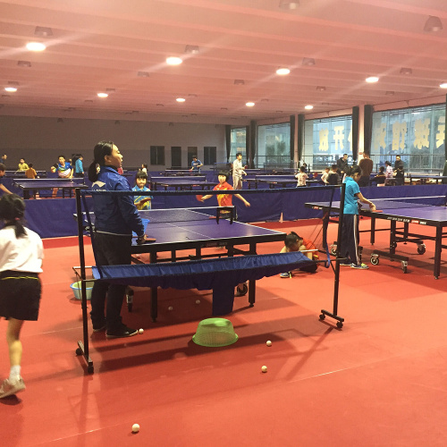 Piso de tênis de mesa aprovado pela ITTF de alta qualidade