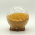 Integratore probiotico salutare sfera lactobacillus casei