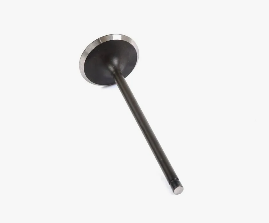Intake Valve 1010A400 for Engine