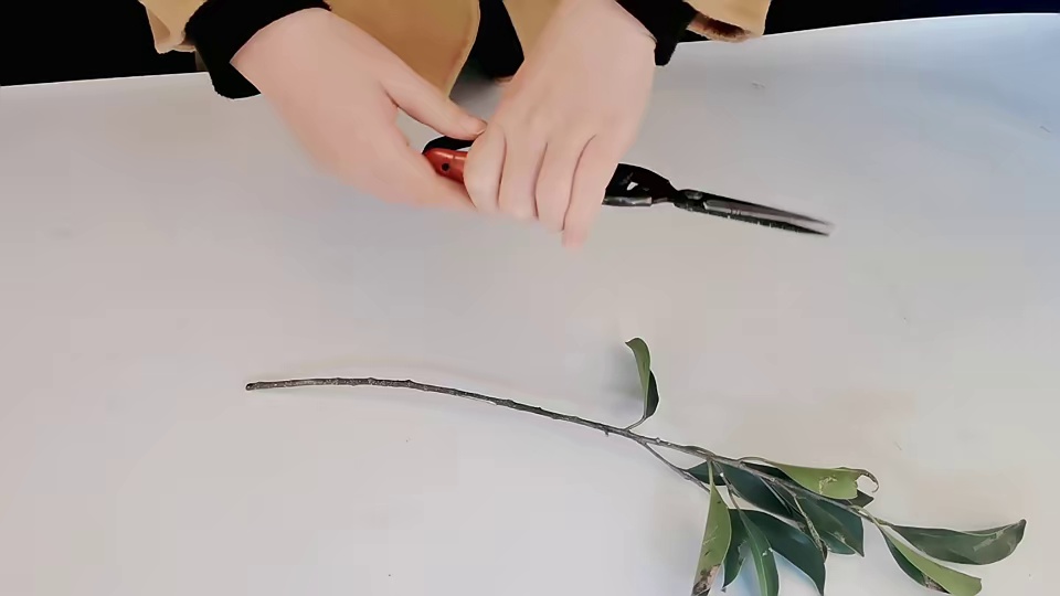 Professional fruit picking scissors grape harvesting grafting scissors garden manual pruning shears