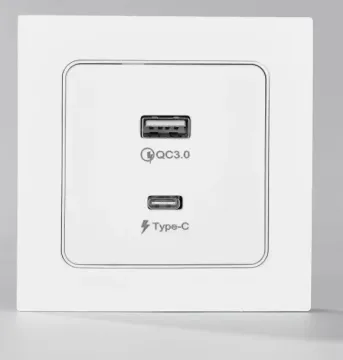 White Elendax USB and Type C Socket