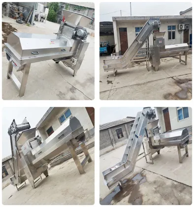 Industrial Fresh Grapes and Berries Stem Separator Machine