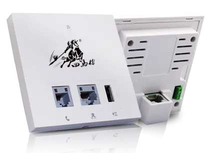 Wireless Network Access Point