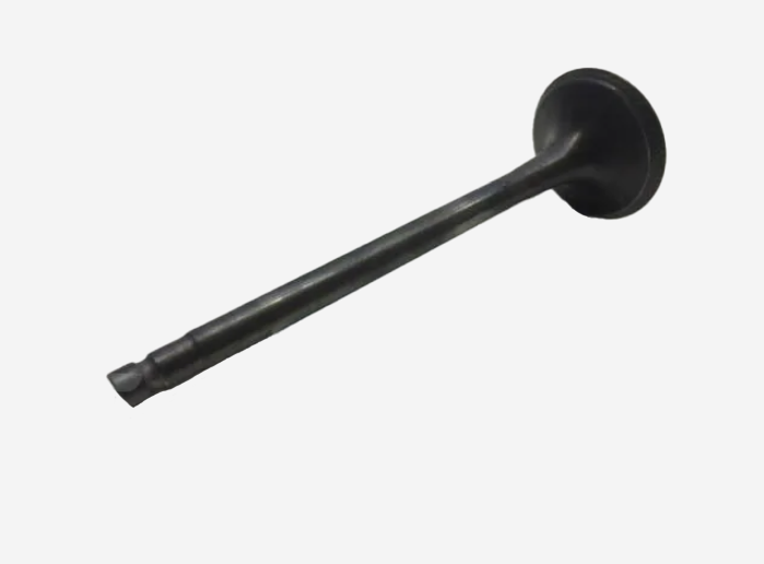 Intake Valve for Engine4926069