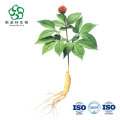 80% de ginseng Saponine Powder Ginseng Root Extract Powder