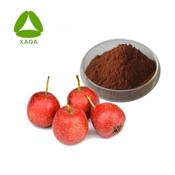 Hawthorn Berry Extract 50% Flavone Powder