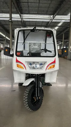 Special Purpose Three Wheel Vehicle with Box