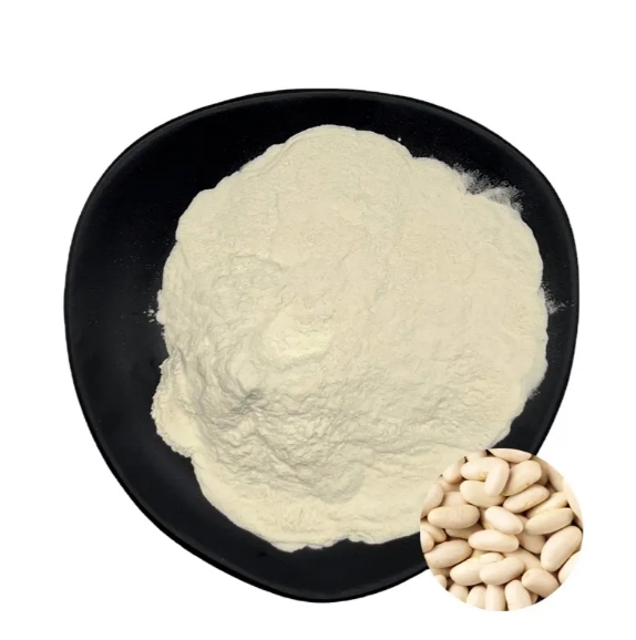High Quality White Kidney Beans Powder