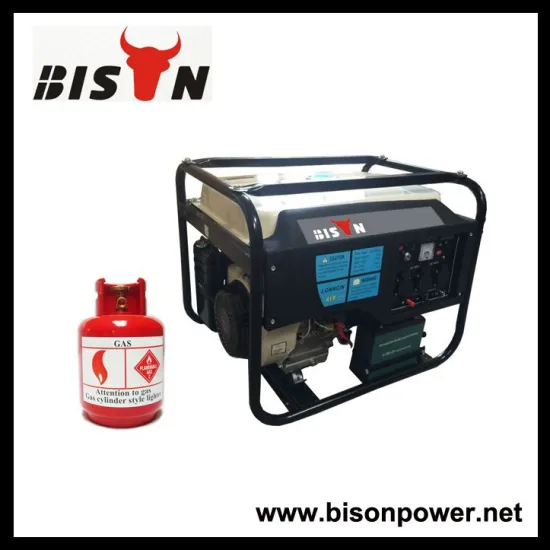BISON(CHINA) Household Big Power Standby Natural Gas Generator Set