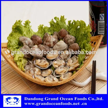 Frozen boiled baby clam meat