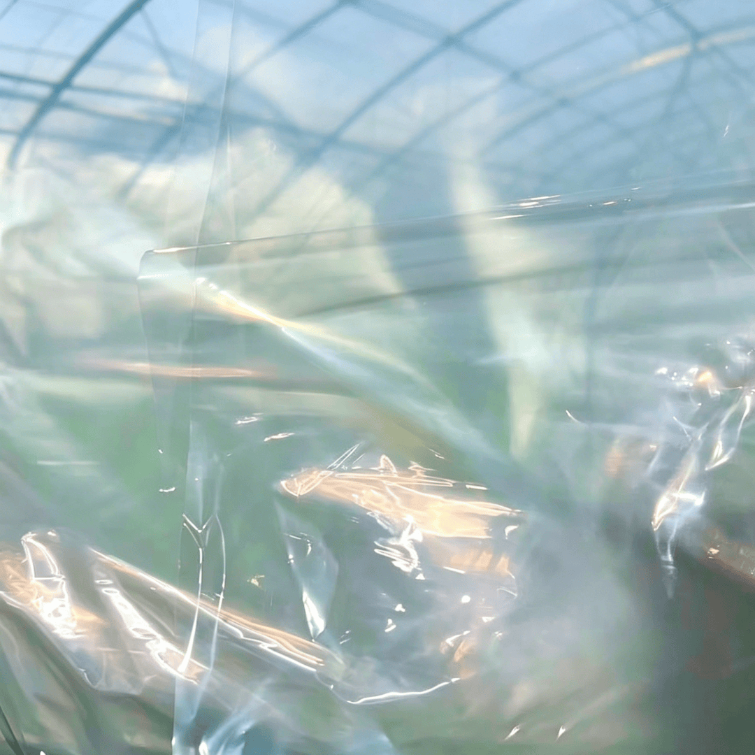 plastic film for greenhouse covering (22)