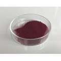 Food -Additive Vitamin B 12 Pulver