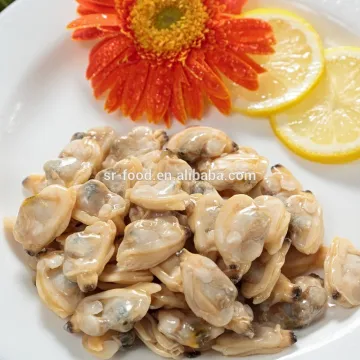 high quality frozen short necked clam meat