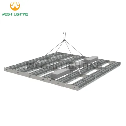 Best Indoor Plant Grow Lights