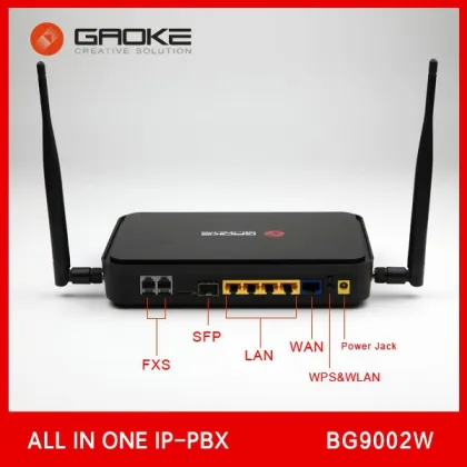 Asterisk IP PBX BG9002W
