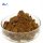 Natural and pure prickly pear extract powder