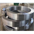 Hollow fixed bearing ring
