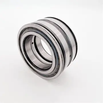 Cylindrical Roller Bearing Double Row SL045010-D-PP 50x80x40mm Crane Pulley Bearing